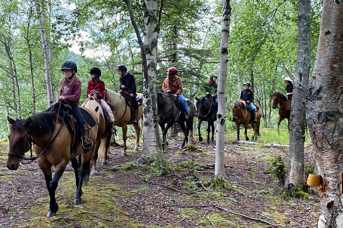 1.5 Hour Trail Ride on a working ranch in the Alaskan Mountains - Key points to know before you book