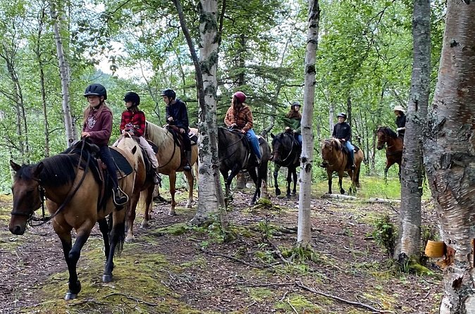 1.5 Hour Trail Ride on a working ranch in the Alaskan Mountains - Is the $159 price fair?