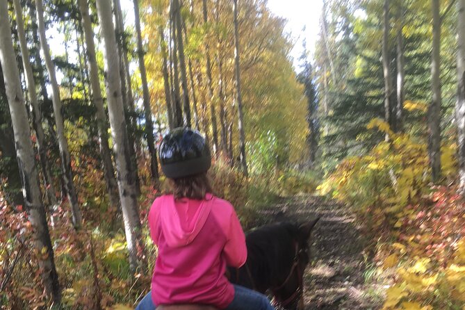 1.5 Hour Trail Ride on a working ranch in the Alaskan Mountains - Should you book the Red Mountain ranch ride?