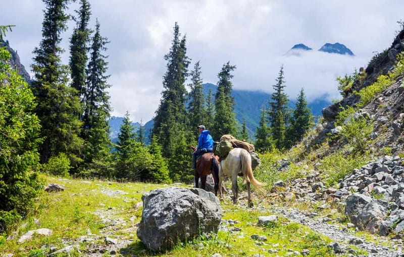 1 Day Horse Riding Adventure in Borjomi Mountains - Key points before you saddle up