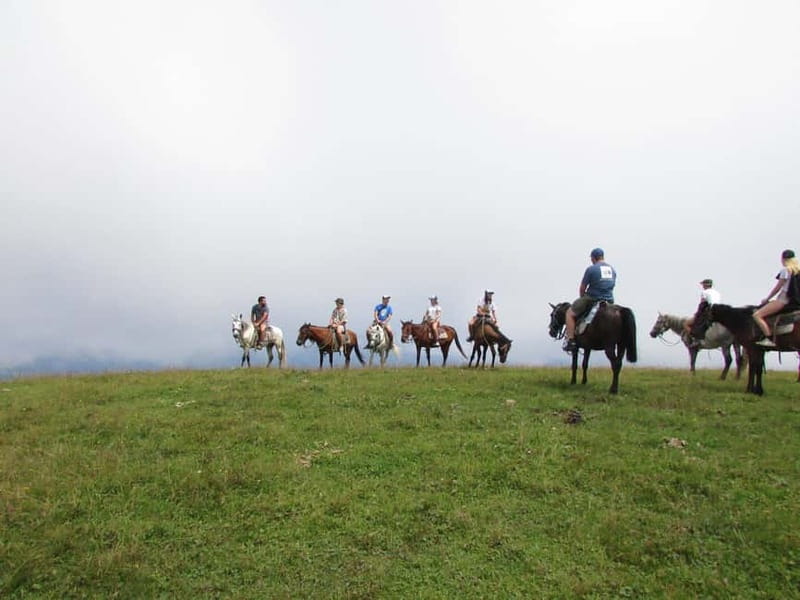1 Day Horse Riding Adventure in Borjomi Mountains - Meeting the horses and getting ready