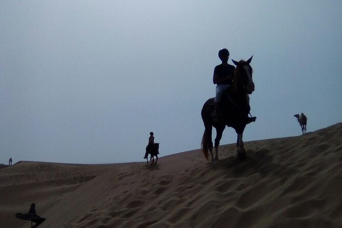 1 day horseback ride with lunch - Starting in Diabat, just outside Essaouira