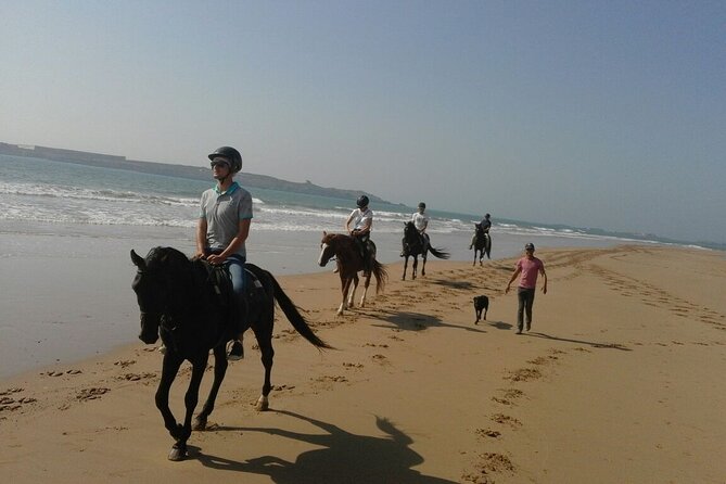 1 day horseback ride with lunch - Dunes, fishing village, and changing scenery