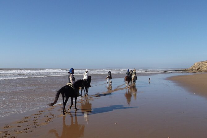 1 day horseback ride with lunch - Lunch, tea, and what to bring
