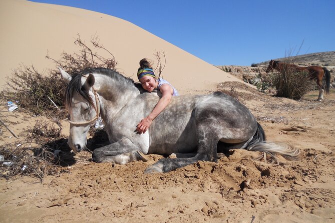 1 day horseback ride with lunch - What the guide’s role adds