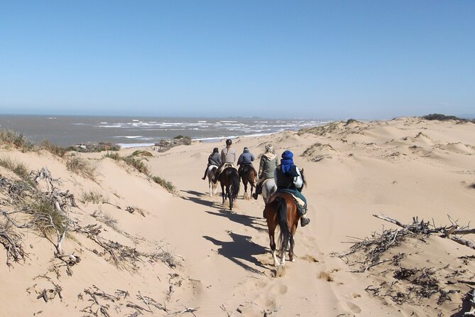 1 day horseback ride with lunch - Is the $153.14 price fair?