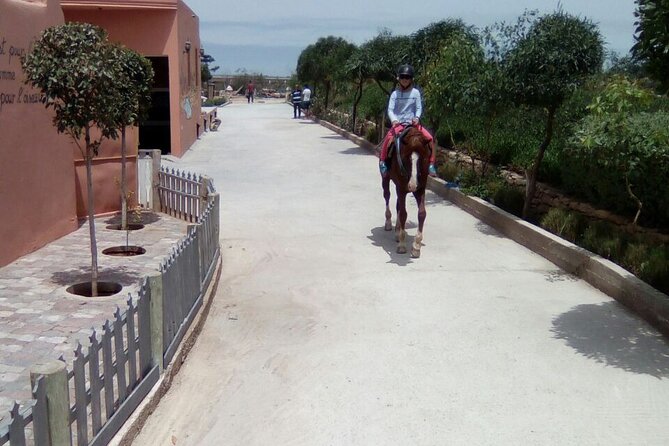 1 day horseback ride with lunch - Who should book this horseback ride?