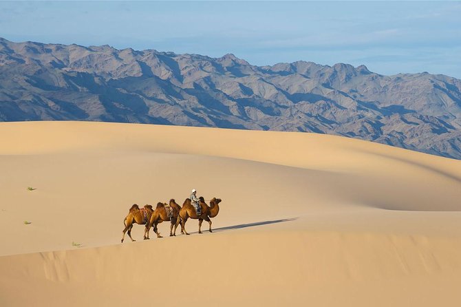 1 Day Semi-Gobi Tour with Lunch And Enjoying Camel or Horseback - Lunch with a nomadic family