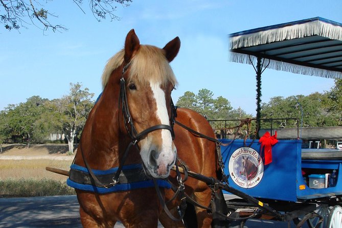 #1 Historical Horse Drawn Carriage Tour - Old Beaufort’s homes, gardens, and live oaks