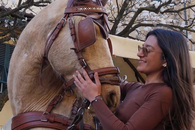 1-Hour Carriage Tour – Historic Center and Renaissance Walls - Key points to know before booking