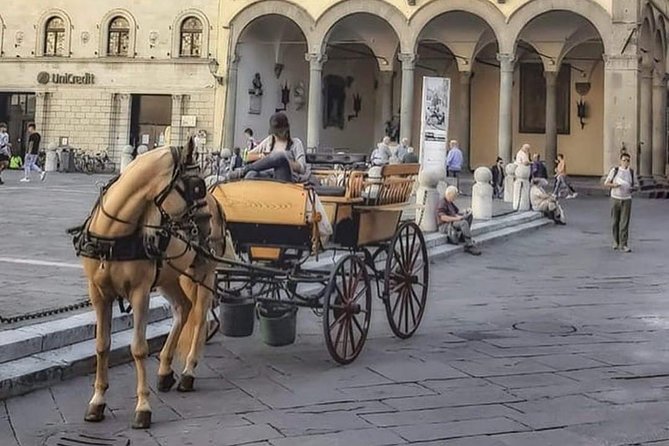 1-Hour Carriage Tour – Historic Center and Renaissance Walls - Crossing the Renaissance wall