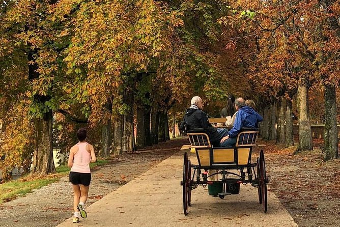 1-Hour Carriage Tour – Historic Center and Renaissance Walls - Starting at Piazza Napoleone
