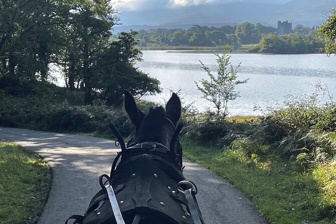 1 Hour Guided Carriage Tour in Killarney National Park - Who should book this carriage tour?