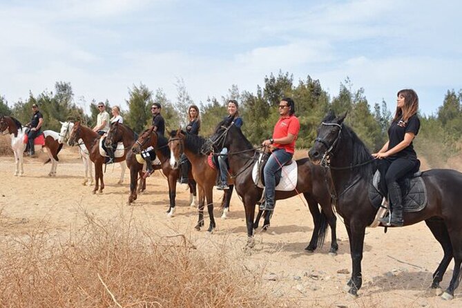 1 Hour Guided Horse Riding Activity in Sharm El Sheikh - The friendly, organized feel