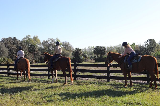 1 Hour Guided Horseback Trail Ride Rock Springs Run State Reserve - Springs, creek water, and Florida wildlife