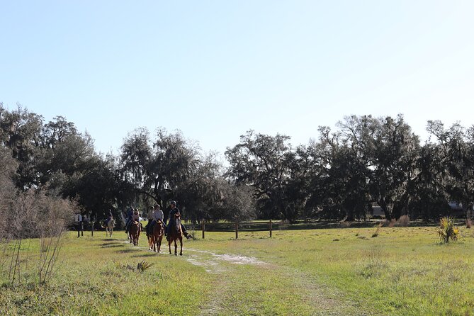 1 Hour Guided Horseback Trail Ride Rock Springs Run State Reserve - Practical details that can affect your decision