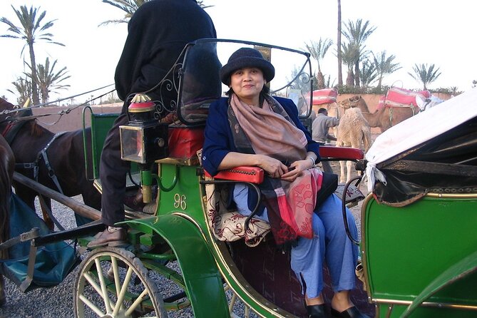1-Hour Horse Carriage Drawn Marrakech City Tour - Key points at a glance