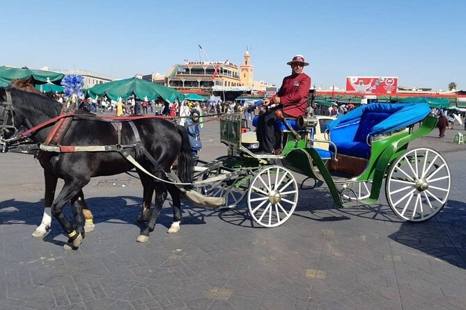 1-Hour Horse Carriage Drawn Marrakech City Tour - A gentle way to see Marrakech in one hour
