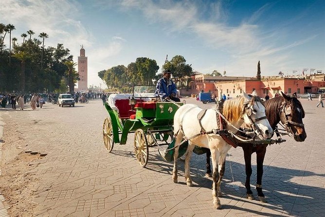 1-Hour Horse Carriage Drawn Marrakech City Tour - Avenue Mohammed V and the evening finish