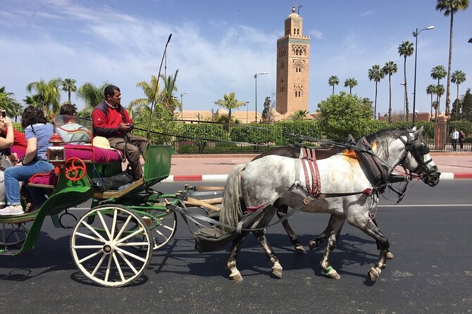 1-Hour Horse Carriage Drawn Marrakech City Tour - What the private format is really worth