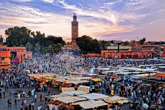 1-Hour Horse Carriage Drawn Marrakech City Tour - Animal welfare and heat are not minor details