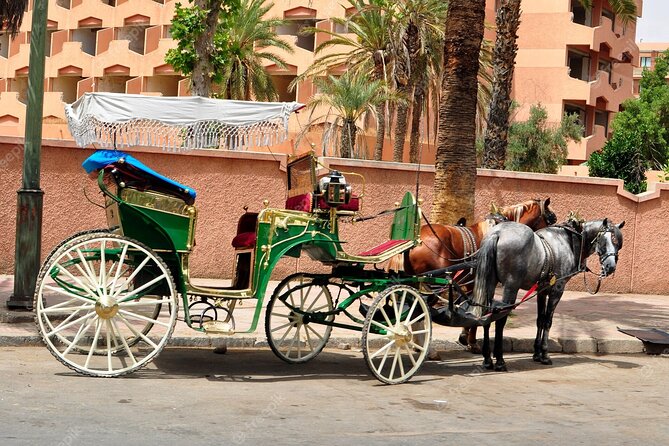 1-Hour Horse Carriage Drawn Marrakech City Tour - Who will enjoy this carriage ride most