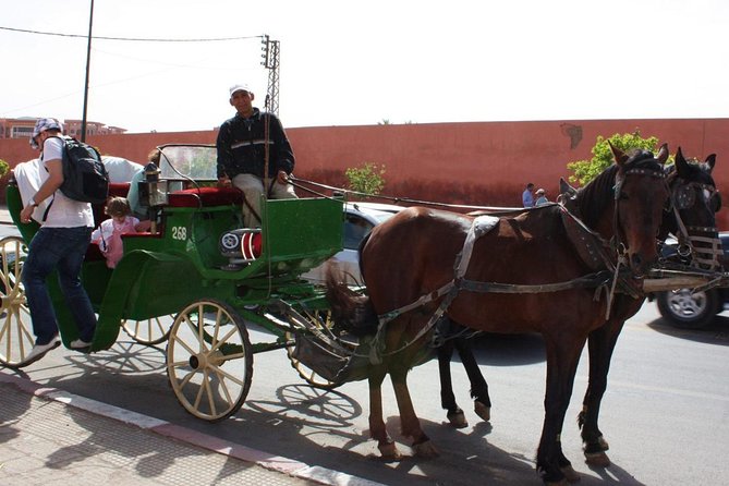 1-Hour Horse Carriage Drawn Marrakech City Tour - Starting near the Menara Gardens