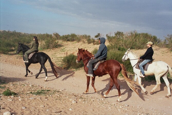 1 hour horse ride on the beach of essaouira - The first stretch along Essaouira’s Atlantic shore
