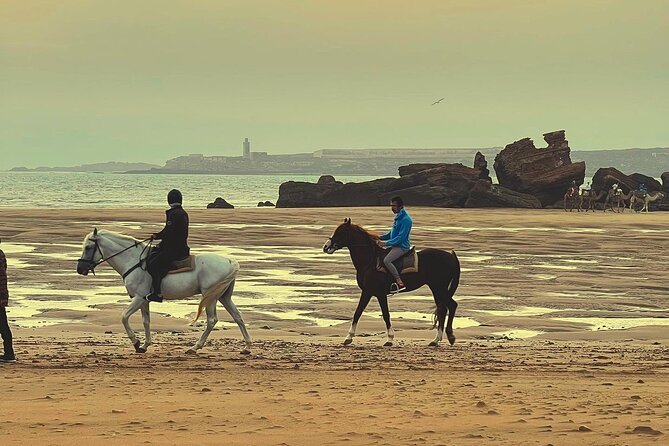 1 hour horse ride on the beach of essaouira - Who should book this Essaouira horse ride?