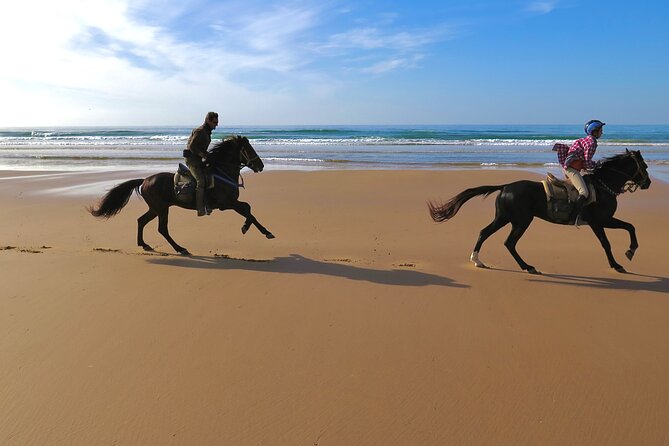 1 hour horse ride on the beach of essaouira - Should you book it?
