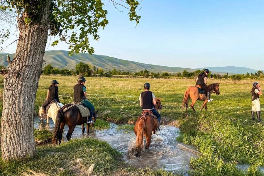 1-Hour Horse Riding Tour at Palomino Ranch Near Tbilisi - The First Kilometres Through Open Meadows