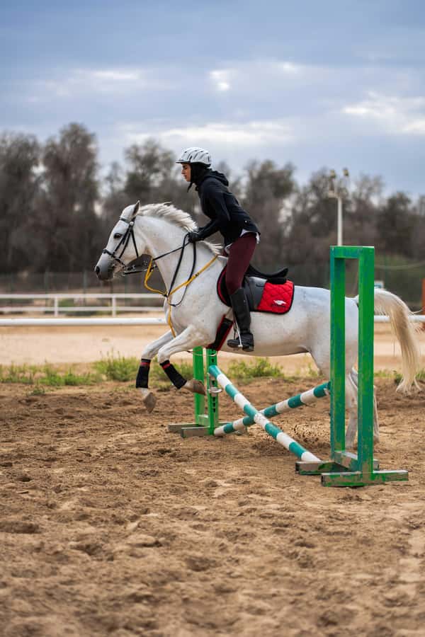 1 Hour Horseback Dubai Desert Park Ride - Key points at a glance