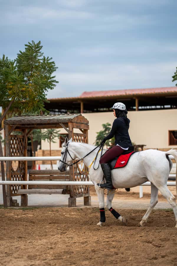 1 Hour Horseback Dubai Desert Park Ride - The one-hour ride through Mushrif Park