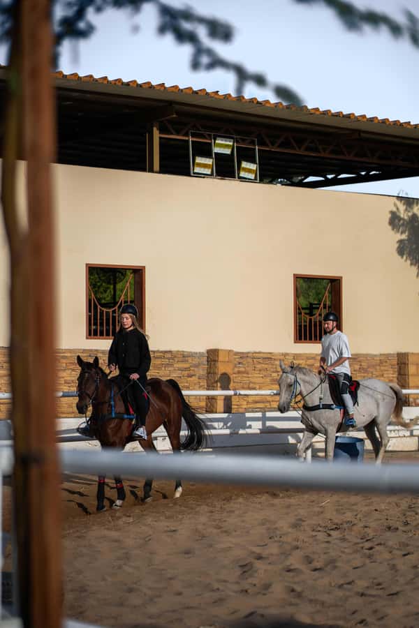 1 Hour Horseback Dubai Desert Park Ride - How much value do you get for $99?