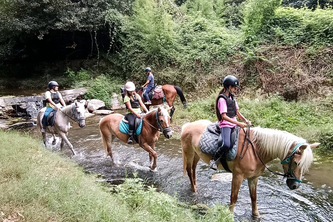 1 hour horseback ride in Valgraziosa Pisa - Who should book this ride