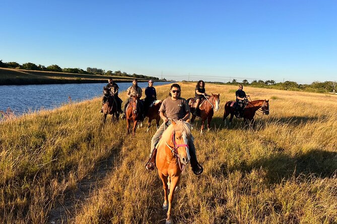 1 hour of ATV + 1 hour horse ride-- free videos and pictures - What happens before you start the engines