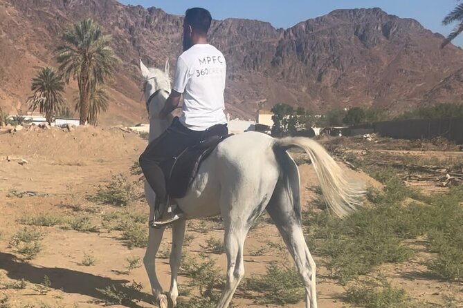 1 Hour Private Horse Riding in Madinah - A horse ride with Mount Uhud as your backdrop