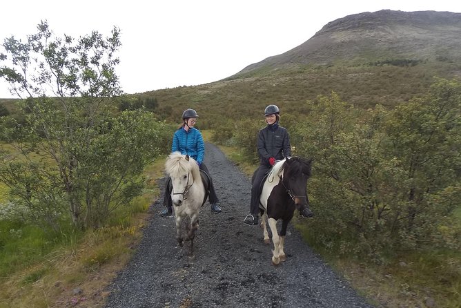 1+ hour Private Horse riding tour from Reykjavík/Mosfellsbær - Key points to know before you book