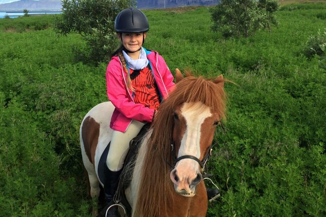1+ hour Private Horse riding tour from Reykjavík/Mosfellsbær - A private group changes the feel of the ride
