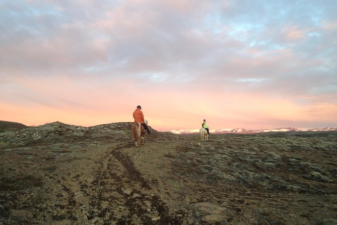 1+ hour Private Horse riding tour from Reykjavík/Mosfellsbær - Why the horse care matters