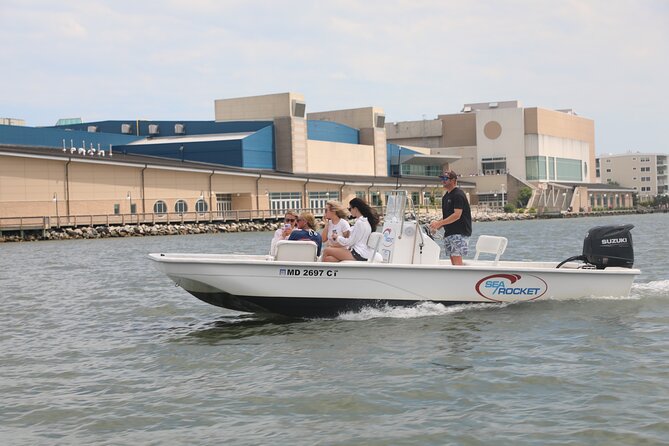 1-Hour Private Party Assateague Island Pony Cruise in Ocean City - Key points to know before booking