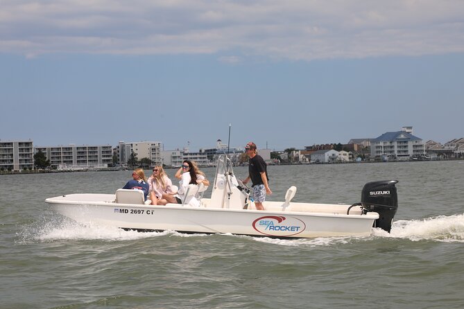 1-Hour Private Party Assateague Island Pony Cruise in Ocean City - Leaving from Midtown Ocean City