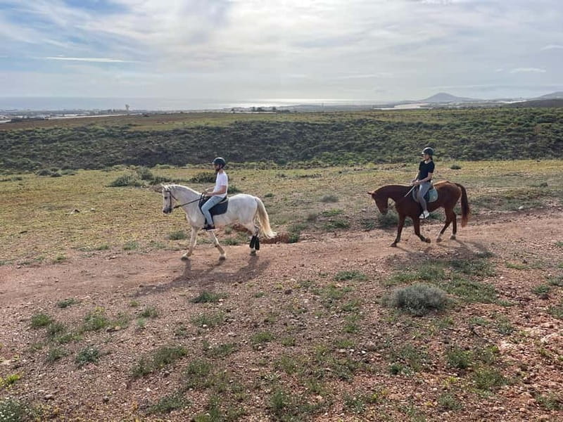 1 hour relaxing horse riding tour in Gran Canaria - Key points to know before you book