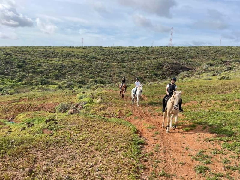 1 hour relaxing horse riding tour in Gran Canaria - A gentle ride through Gran Canaria’s eastern countryside