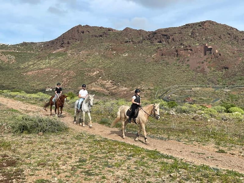 1 hour relaxing horse riding tour in Gran Canaria - The arena lesson comes first