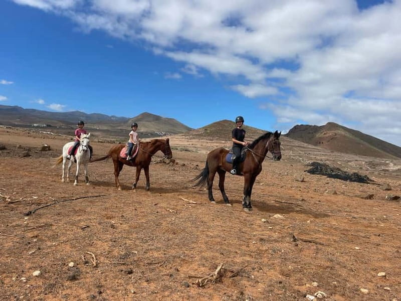 1 hour relaxing horse riding tour in Gran Canaria - Riding out with a calm horse