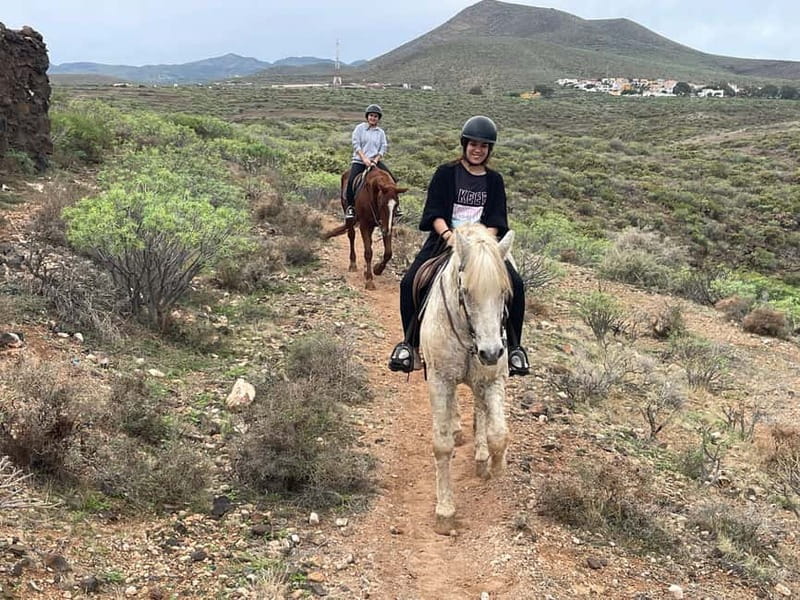 1 hour relaxing horse riding tour in Gran Canaria - What the 1.5-hour schedule really means