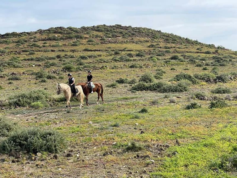 1 hour relaxing horse riding tour in Gran Canaria - Clothing, weather, and comfort