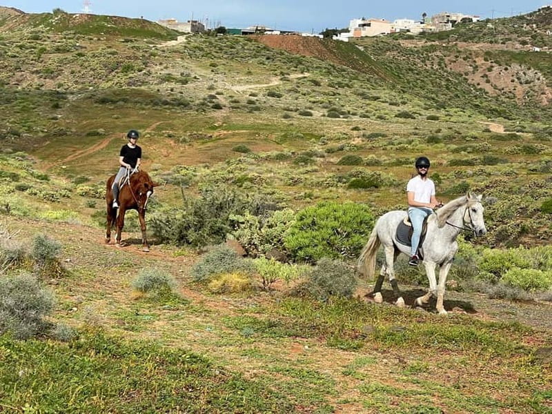 1 hour relaxing horse riding tour in Gran Canaria - Who can take part, and who should skip it