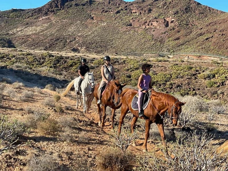 1 hour relaxing horse riding tour in Gran Canaria - How much value do you get for $41?